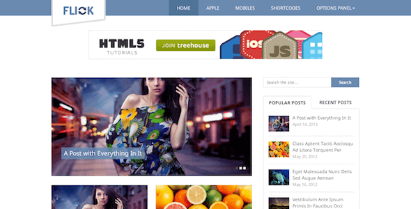 Flick – Media-Oriented Responsive WordPress Theme
