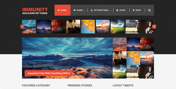 Immunity – WordPress Theme With Magazine & Blog Layouts
