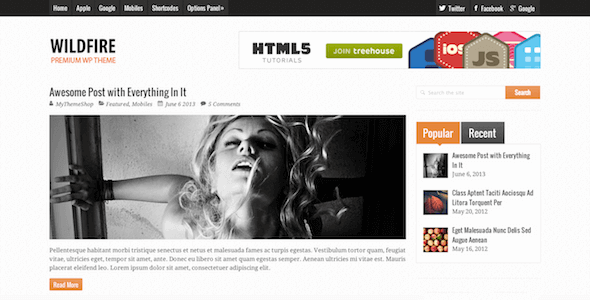 Wildfire – Clean Responsive WordPress Theme