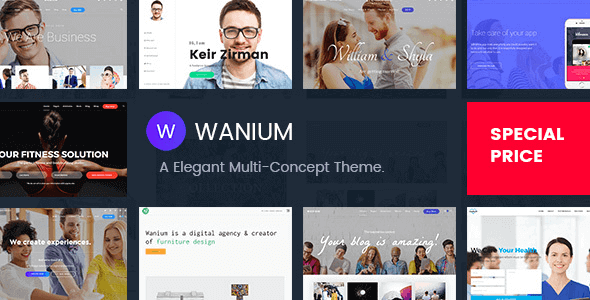 Wanium – A Elegant Multi-Concept Theme
